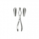 Septum Forceps